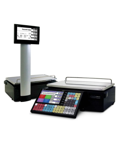 Ishida Uni-5 Dual Range Price Computing Scale with Pole and Printer, 30 lb x 0.01 lb, RF, NTEP approved