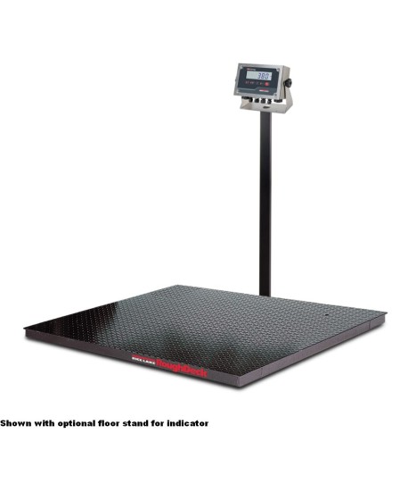 Rice Lake Weighing RoughDeck Rough-n-Ready Floor Scale System with 380 Synergy, 10,000 lb, NTEP approved
