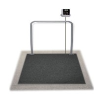 Rice Lake Weighing Summit SD-1150-WP Dialysis Wheelchair In-Ground Scale, 1000 lb x 0.2 lb, with USB