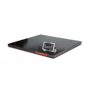 Rice Lake Weighing RoughDeck Rough-n-Ready Floor Scale System with 480 Plus Legend, 10,000 lb, 115 VAC, NTEP approved