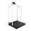 Rice Lake Weighing 250-10-2 Bariatric Handrail Scale, 1000 lb x 0.2 lb, with USB View 2