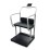 Rice Lake Weighing 250-10-4 Bariatric Handrail Scale with Chair Seat, 1000 lb x 0.2 lb, with USB View 1