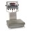 Rice Lake Weighing CW-90 Series Over/Under Checkweigher, 5 lb x 0.001 lb, 10" x 10" platform, 115VAC, NTEP approved View 1