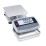 Ohaus D61PW5K1S5 Defender 6000 Front Mount Washdown Bench Scale, 10 lb x 0.002 lb, NTEP Certified View 3