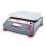 Ohaus RC41M3 Ranger 4000 Counting Scale, 6 lb x 0.002 lb, NTEP Certified View 1