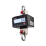 RL101 Compact Digital Below-the-Hook Scale, 6000 lb x 2 lb (PN 219145) View 1
