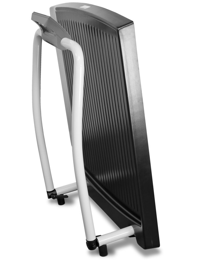 Rice Lake Weighing 350-10-2 Single Ramp Wheelchair Scale, 1000 lb x 0.2 lb, with USB