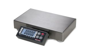 Rice Lake Weighing BenchPro BP-R Series BP0610-15R, 30 lb x 0.01 lb, 6" x 10" stainless steel platter, NTEP approved