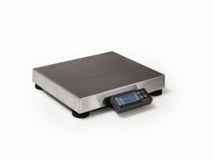 Rice Lake Weighing BenchPro BP-R Series BP1010-15R, 30 lb x 0.01 lb, 10" x 10" stainless steel platter, NTEP approved
