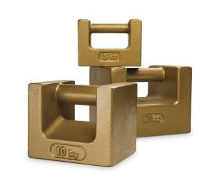 Rice Lake Weighing 10 kg OIML Class M1 Grip Handle Weight with Accredited Certificate