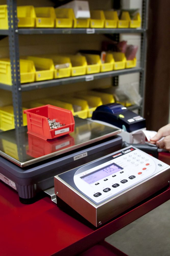 Rice Lake Weighing Counterpart CP-25 Single Channel Indicator with DIGI S-YC base system and bracket, 25 lb x 0.002 lb