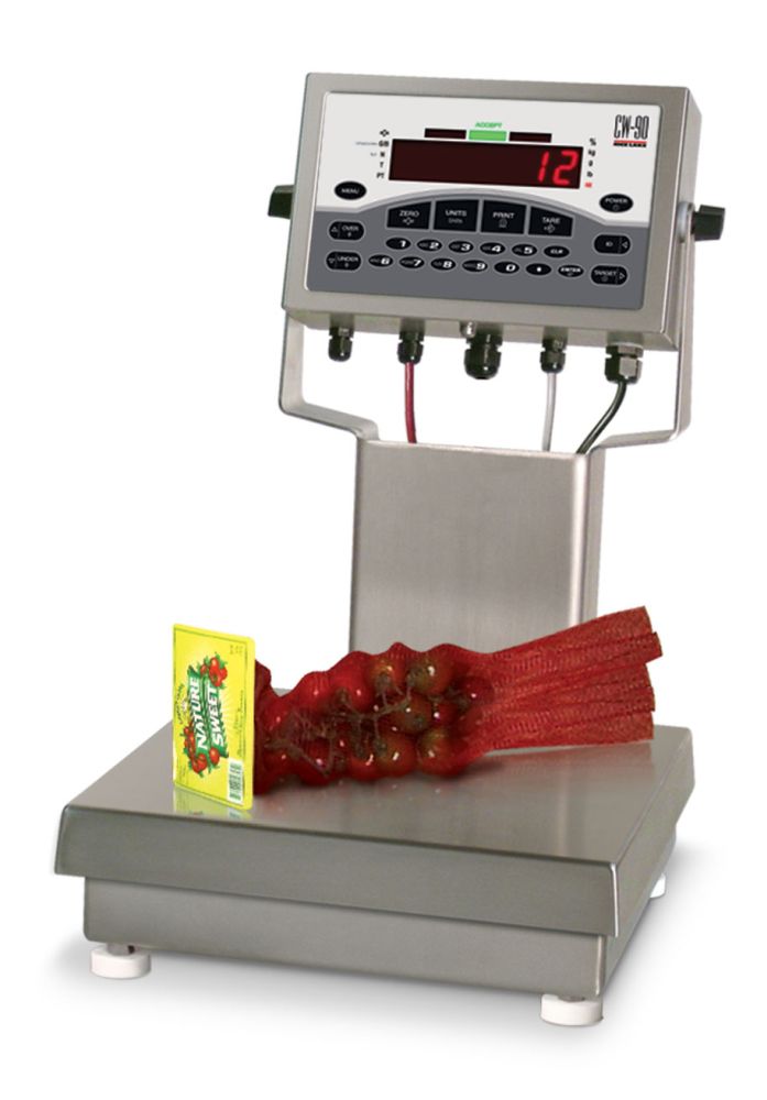 Rice Lake Weighing CW-90 Series Over/Under Checkweigher, 25 lb x 0.005 lb, 10" x 10" platform, 115VAC, NTEP approved