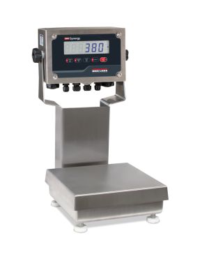 Rice Lake Weighing Ready-n-Weigh System CW-90B Bench Scale with 380 indicator, 10 lb capacity, 10" x 10" platform, NTEP approved