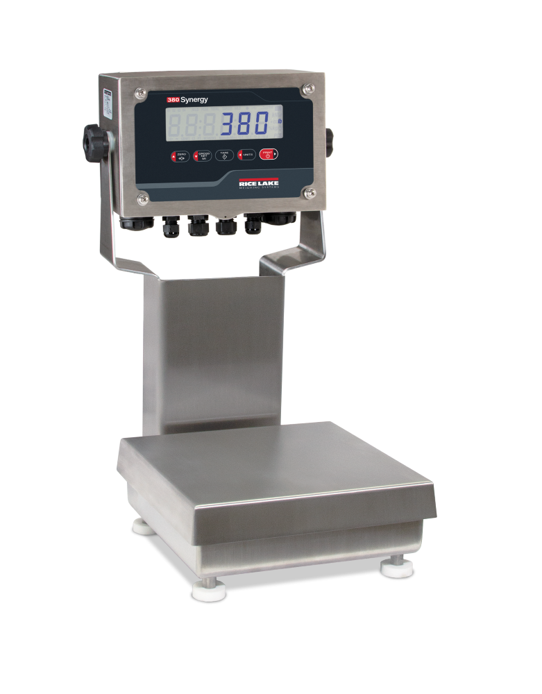 Rice Lake Weighing Ready-n-Weigh System CW-90XB Bench Scale with 380 indicator, 25 lb capacity, 10" x 10" platform, NTEP approved