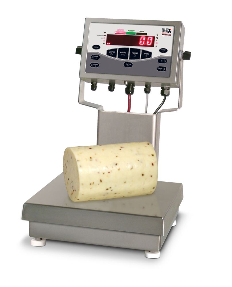 Rice Lake Weighing CW-90X Series Washdown Over/Under Checkweigher, 10 kg x 0.002 kg, 12" x 12" platform, 230VAC, NTEP approved
