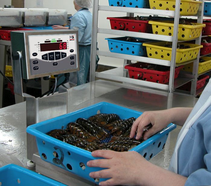 Rice Lake Weighing CW-90X Series Washdown Over/Under Checkweigher, 10 kg x 0.002 kg, 12" x 12" platform, 230VAC, NTEP approved