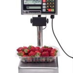 fs-i_series_small_with_strawberries