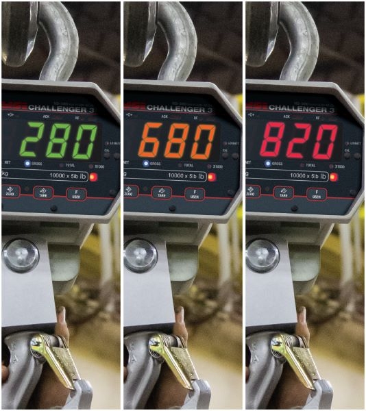 MSI-3460C Challenger 3 Crane Scale, 5000 lb x 2 lb, RF modem, NTEP approved (PN 207637)