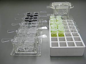 Cup set for SV-1A (A&D-PN SV-55)